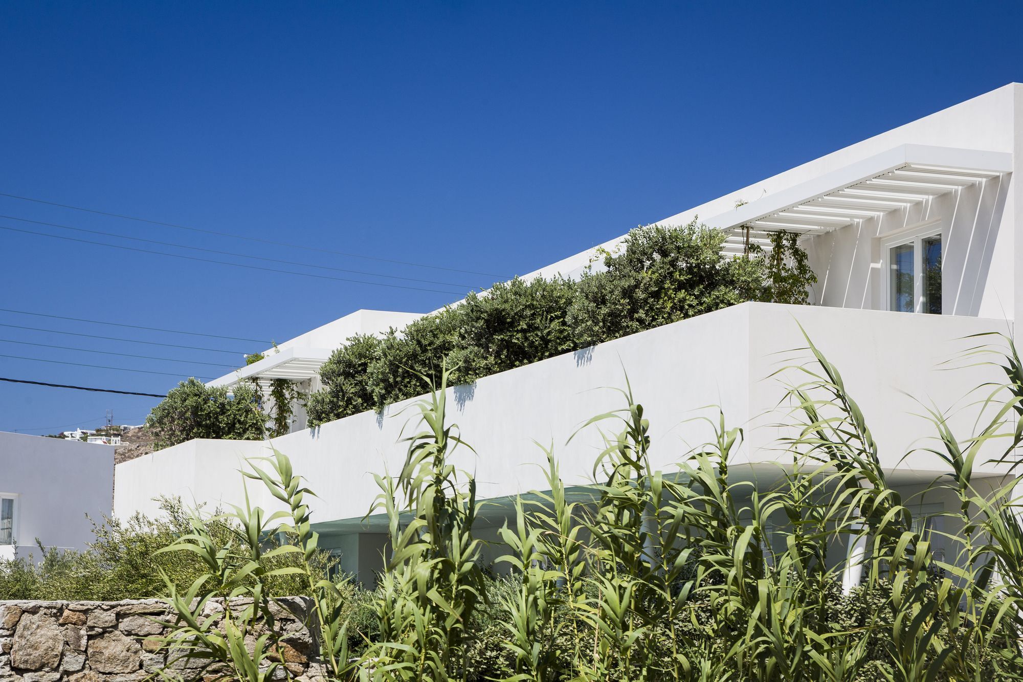 Mykonos Dove Beachfront Hotel Platys Gialos  Zewnętrze zdjęcie